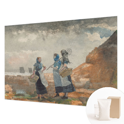 Aukštos kokybės fototapetas Fredfyldo kyst