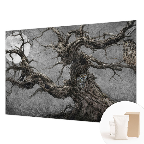 Sienų danga fototapetas Mistinis ugle