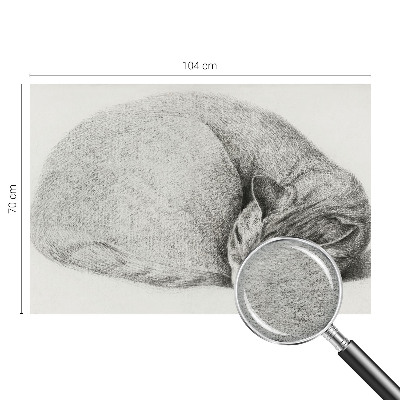 Flizelininis fototapetas Krøllet kat