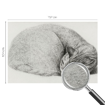 Flizelininis fototapetas Krøllet kat