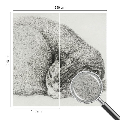 Flizelininis fototapetas Krøllet kat