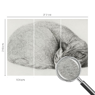 Flizelininis fototapetas Krøllet kat