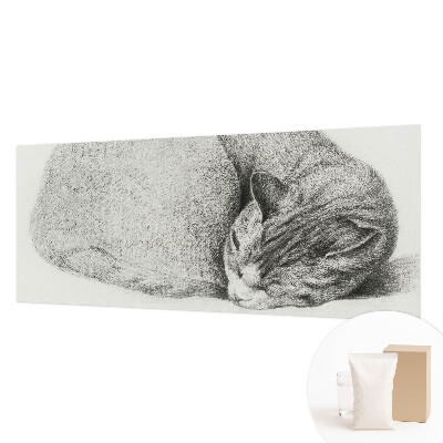 Flizelininis fototapetas Krøllet kat