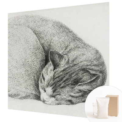 Flizelininis fototapetas Krøllet kat