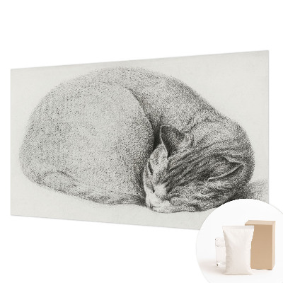 Flizelininis fototapetas Krøllet kat