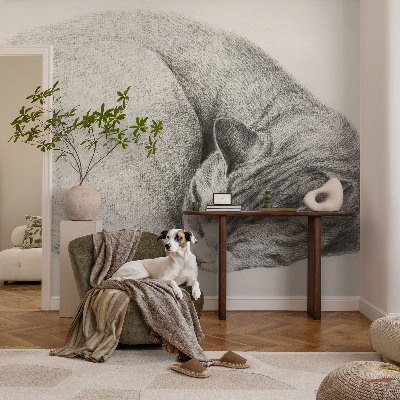 Flizelininis fototapetas Krøllet kat