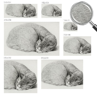 Flizelininis fototapetas Krøllet kat