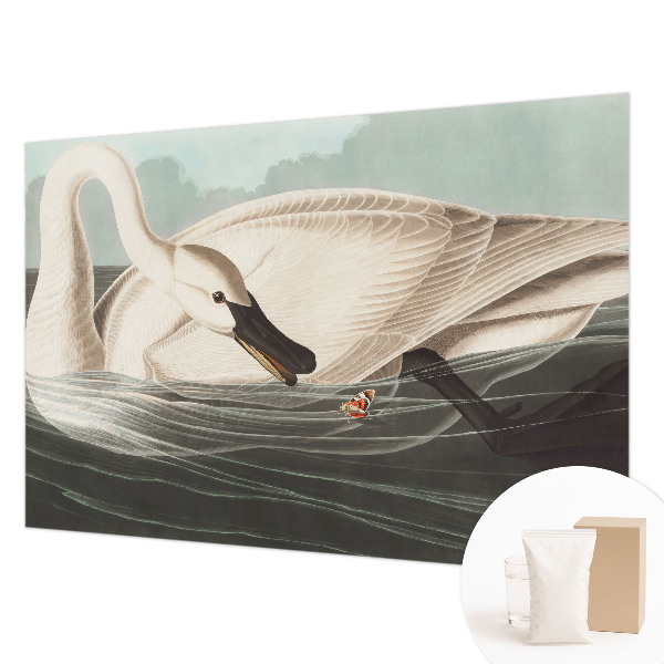 Fototapetas pagal matmenis Naturens harmony