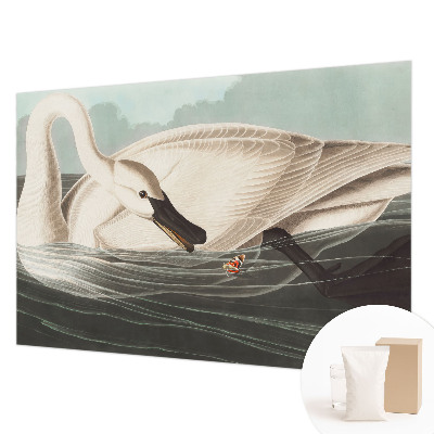 Fototapetas pagal matmenis Naturens harmony