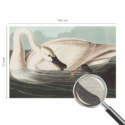 Fototapetas pagal matmenis Naturens harmony