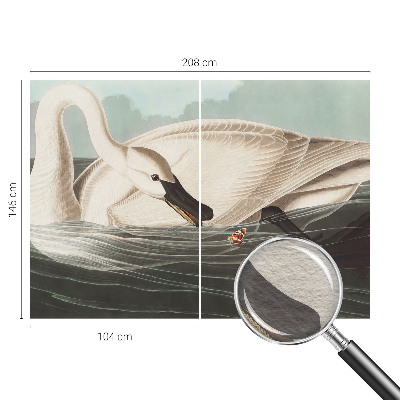 Fototapetas pagal matmenis Naturens harmony