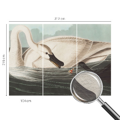 Fototapetas pagal matmenis Naturens harmony