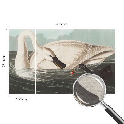 Fototapetas pagal matmenis Naturens harmony