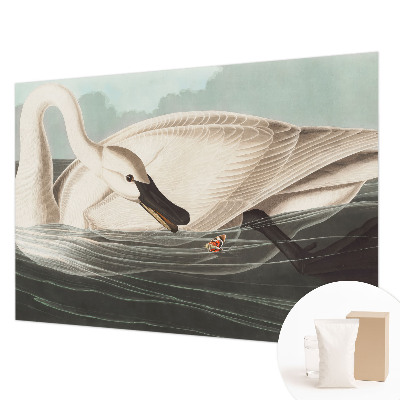 Fototapetas pagal matmenis Naturens harmony