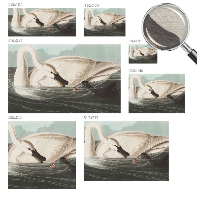 Fototapetas pagal matmenis Naturens harmony