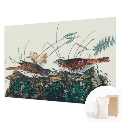 Fototapetas svetainei Natūralus žavesys