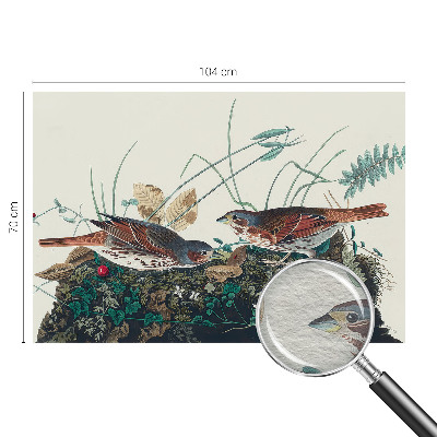 Fototapetas svetainei Natūralus žavesys