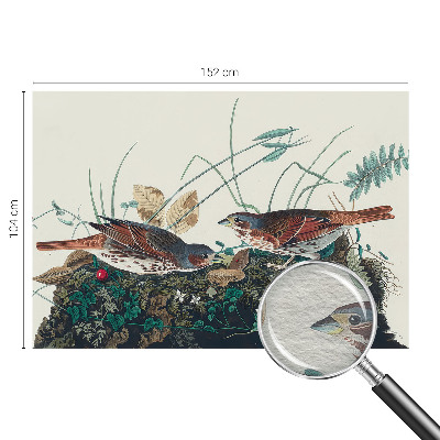 Fototapetas svetainei Natūralus žavesys