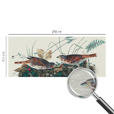 Fototapetas svetainei Natūralus žavesys