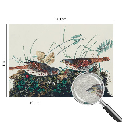 Fototapetas svetainei Natūralus žavesys