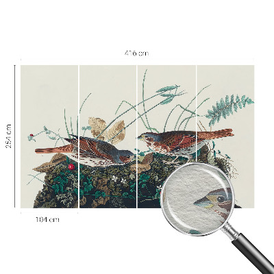 Fototapetas svetainei Natūralus žavesys