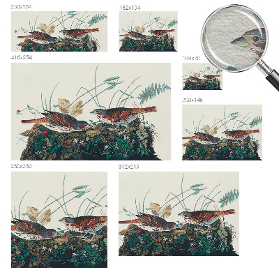 Fototapetas svetainei Natūralus žavesys