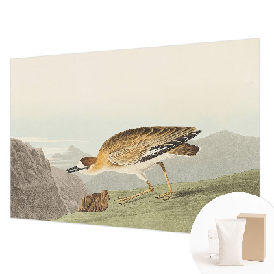 Fototapetas miegamajam Bjergfuglis