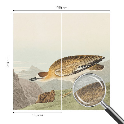 Fototapetas miegamajam Bjergfuglis