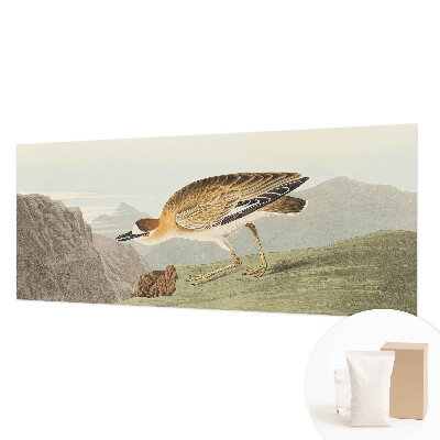 Fototapetas miegamajam Bjergfuglis