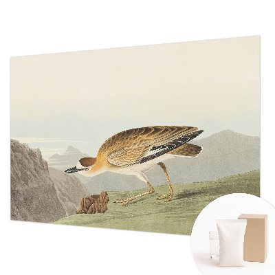 Fototapetas miegamajam Bjergfuglis