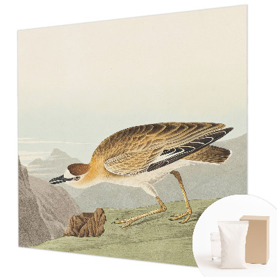 Fototapetas miegamajam Bjergfuglis