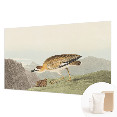 Fototapetas miegamajam Bjergfuglis