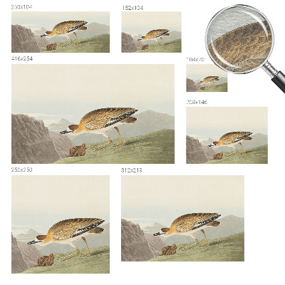 Fototapetas miegamajam Bjergfuglis