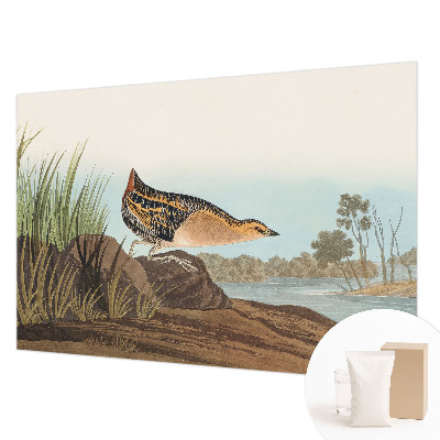 Modernus fototapetas Natūrali scena