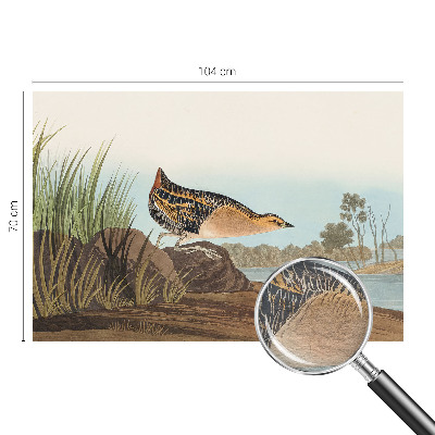 Modernus fototapetas Natūrali scena