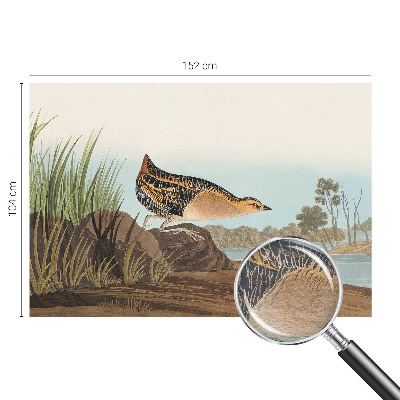 Modernus fototapetas Natūrali scena