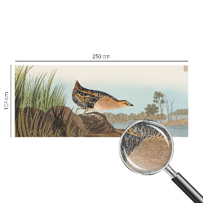 Modernus fototapetas Natūrali scena