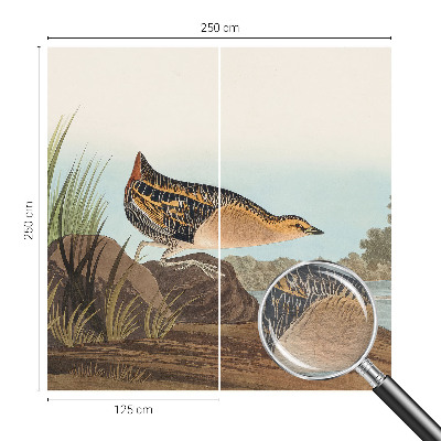 Modernus fototapetas Natūrali scena