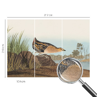 Modernus fototapetas Natūrali scena