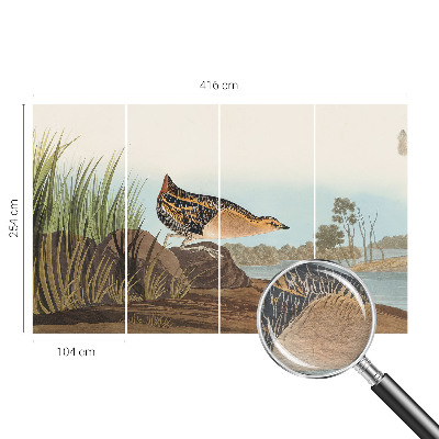 Modernus fototapetas Natūrali scena