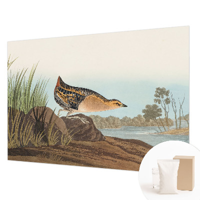 Modernus fototapetas Natūrali scena