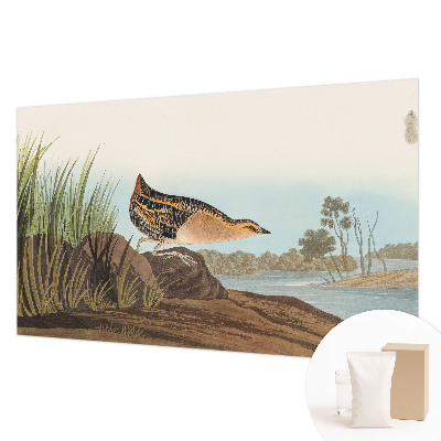 Modernus fototapetas Natūrali scena