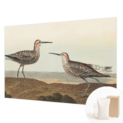 Fototapetas pagal matmenis Fuglesilhuetter