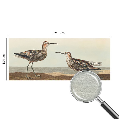 Fototapetas pagal matmenis Fuglesilhuetter