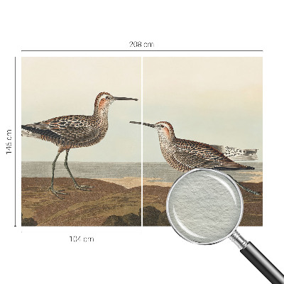 Fototapetas pagal matmenis Fuglesilhuetter