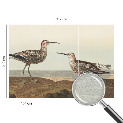 Fototapetas pagal matmenis Fuglesilhuetter