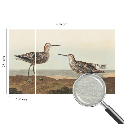 Fototapetas pagal matmenis Fuglesilhuetter