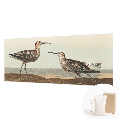 Fototapetas pagal matmenis Fuglesilhuetter