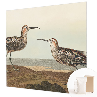 Fototapetas pagal matmenis Fuglesilhuetter