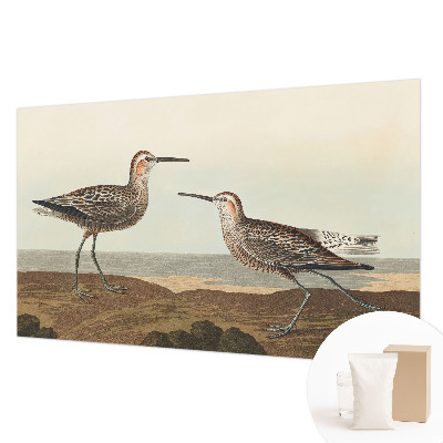 Fototapetas pagal matmenis su paukščių siluetais